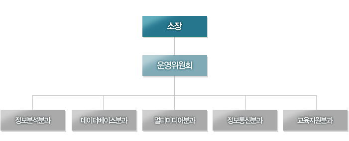 소장-운영위원회-정보분석분과, 데이터베이스분과, 멀티미디어분과, 정보통신분과,교육지원분과