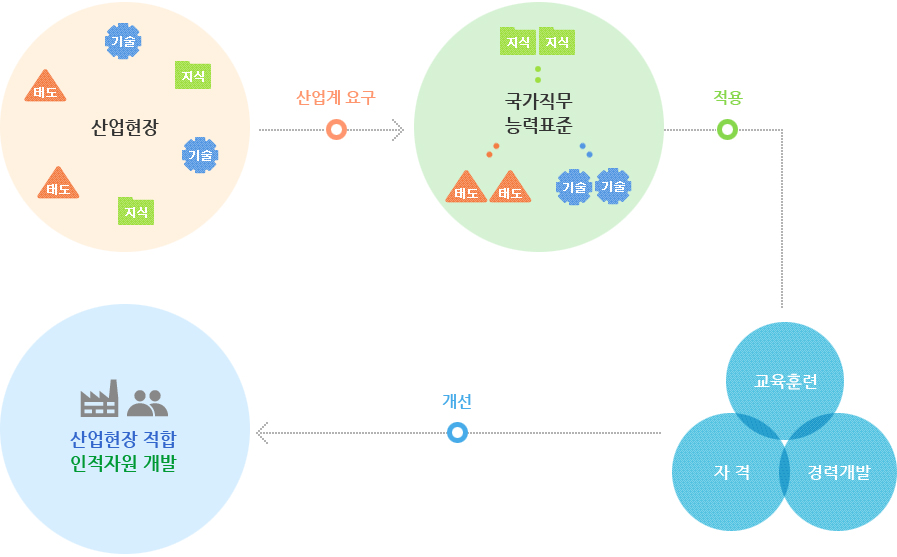 NCS(국가 직무능력표준)란